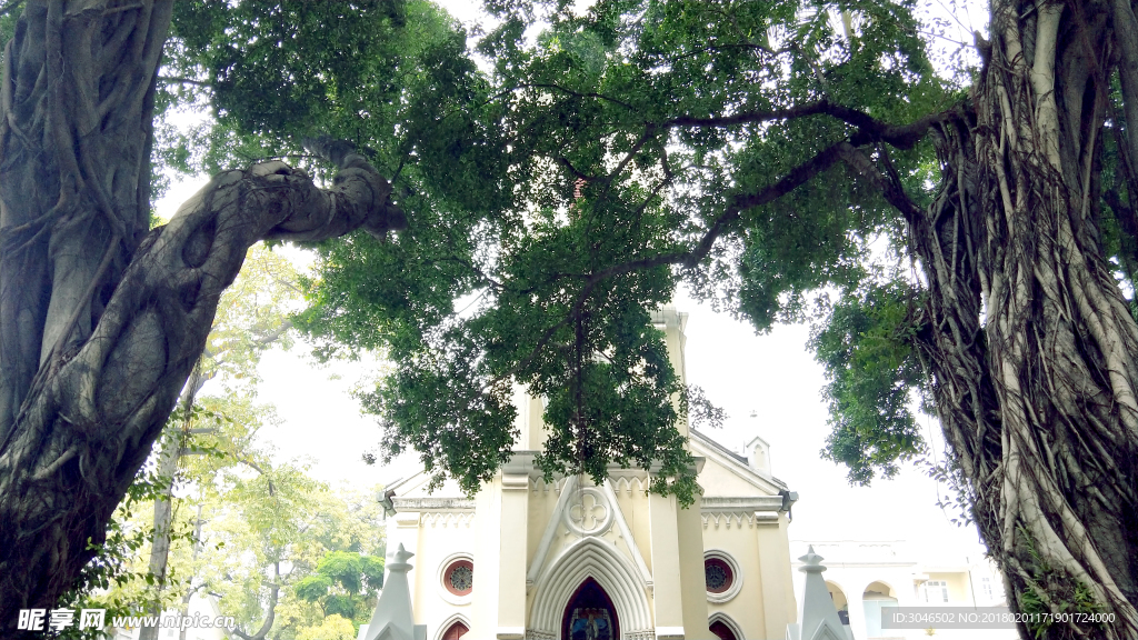 岭南文化风情大榕树摄影