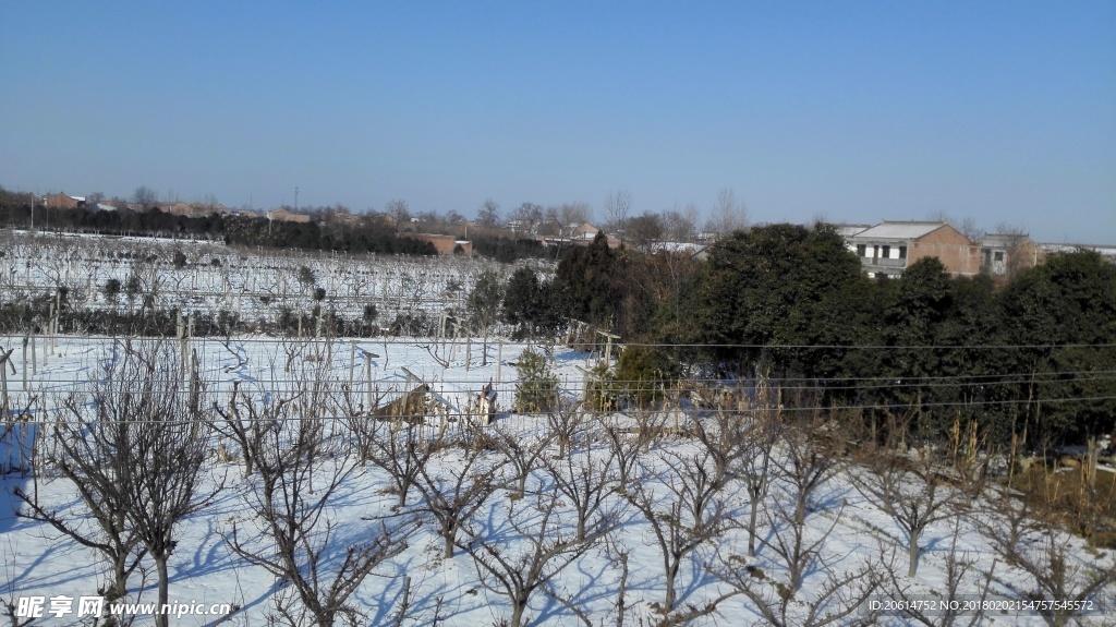 冬日里的乡村风景