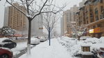 城市雪景