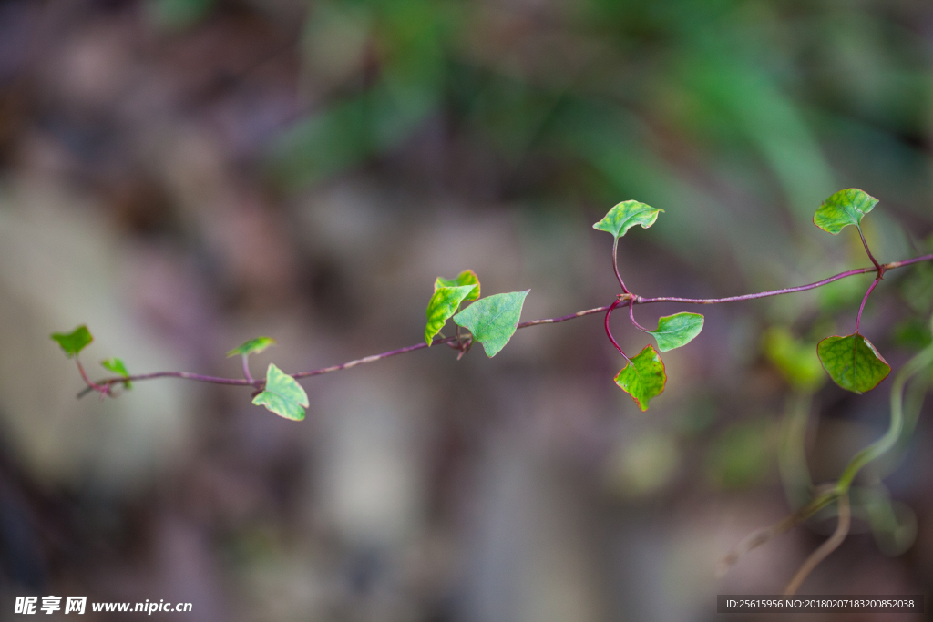 书堂山欧阳询文化园