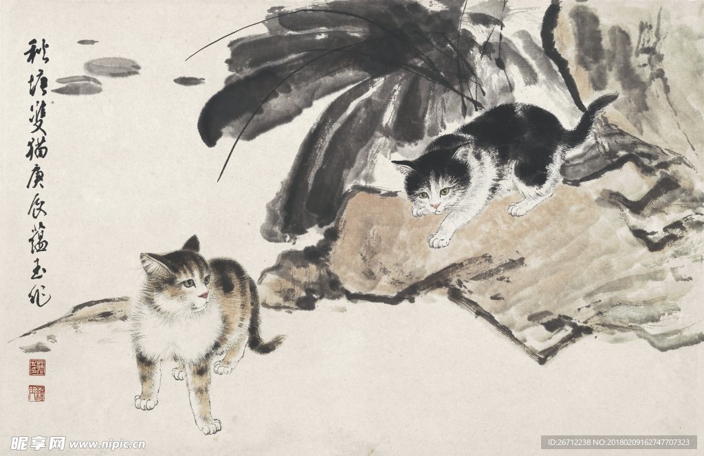 双猫图