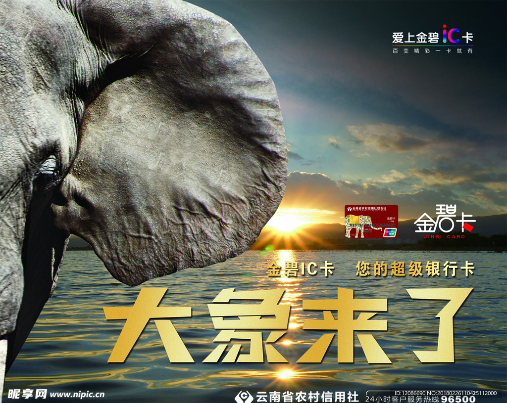 云南农信社银行大象来了金碧卡