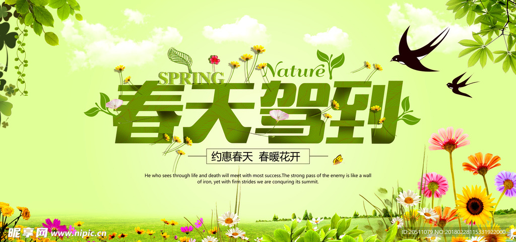 春季春天驾到