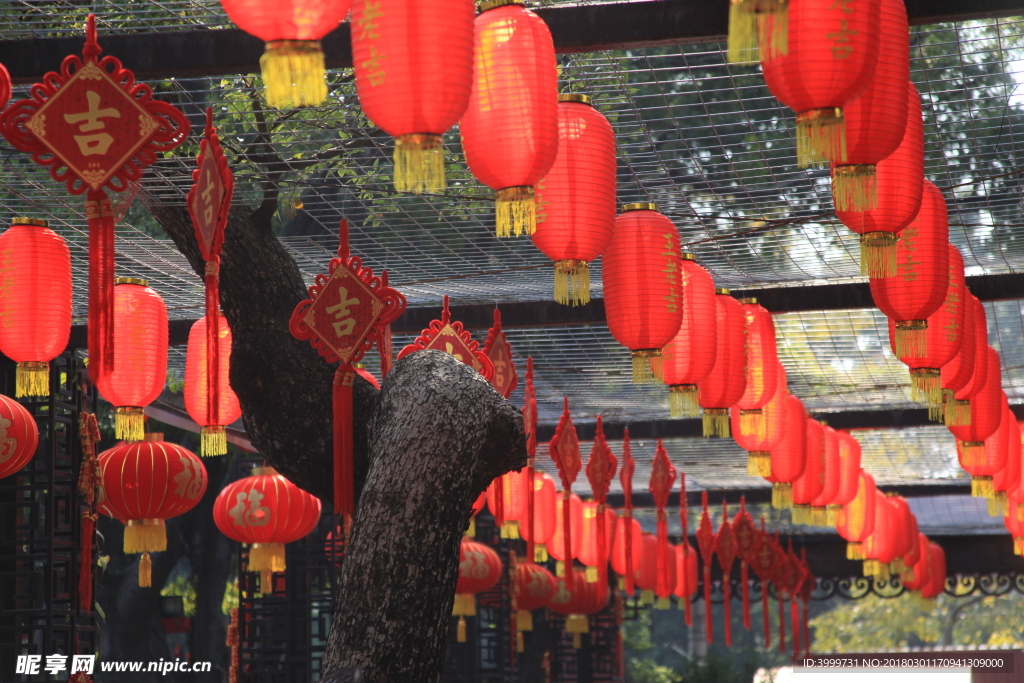 2018 春节 摄影 岭南 灯