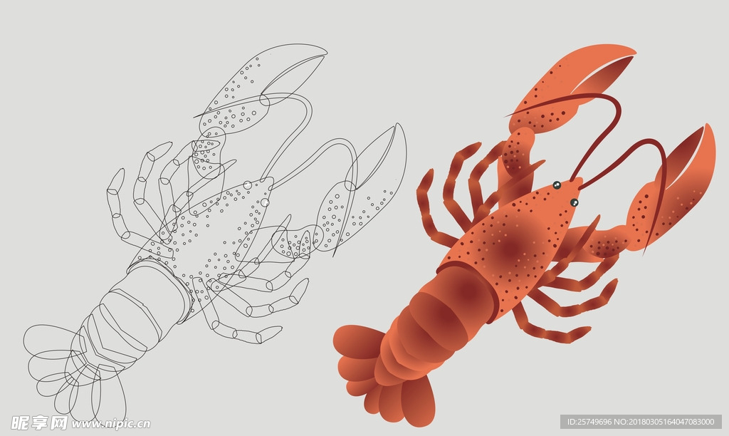 龙虾矢量图