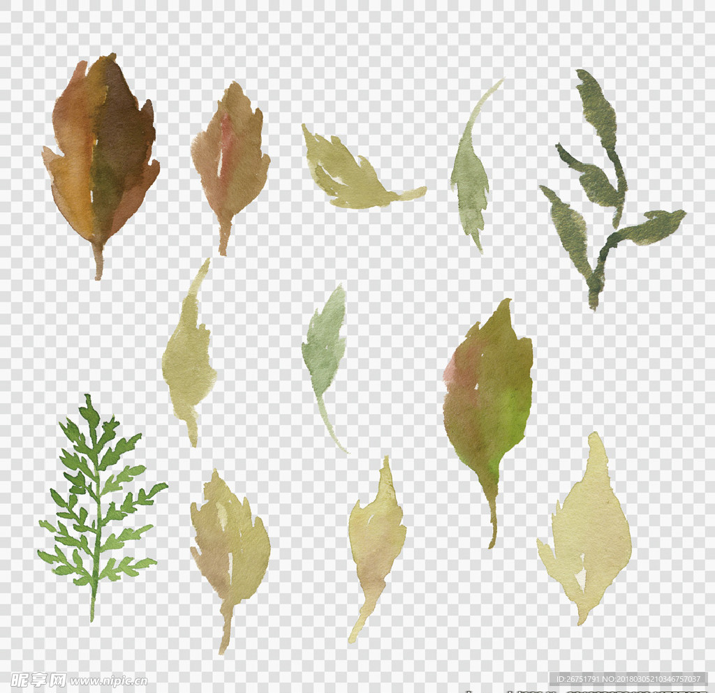 水彩 水粉 手绘 树叶 花