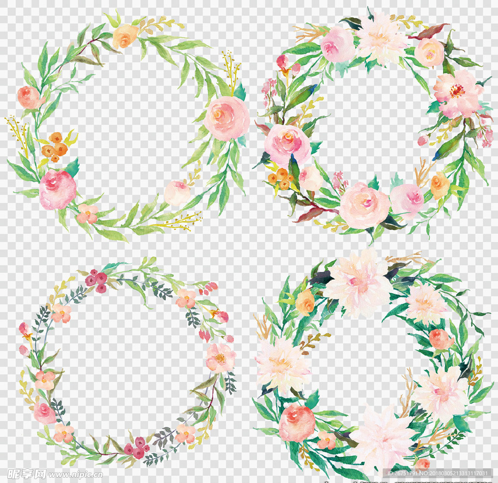 水彩 水粉 手绘 花