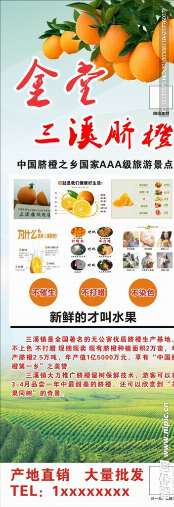 金堂三溪脐橙.cdr