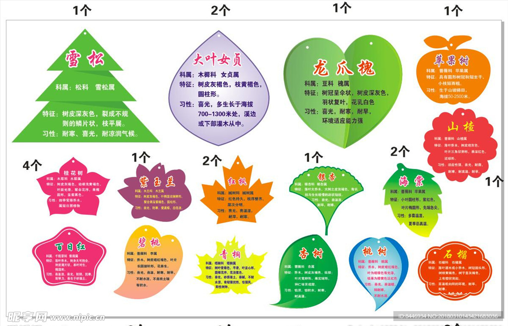 树木介绍牌