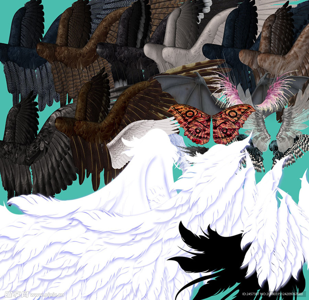 漂亮的鸟类翅膀分层素材
