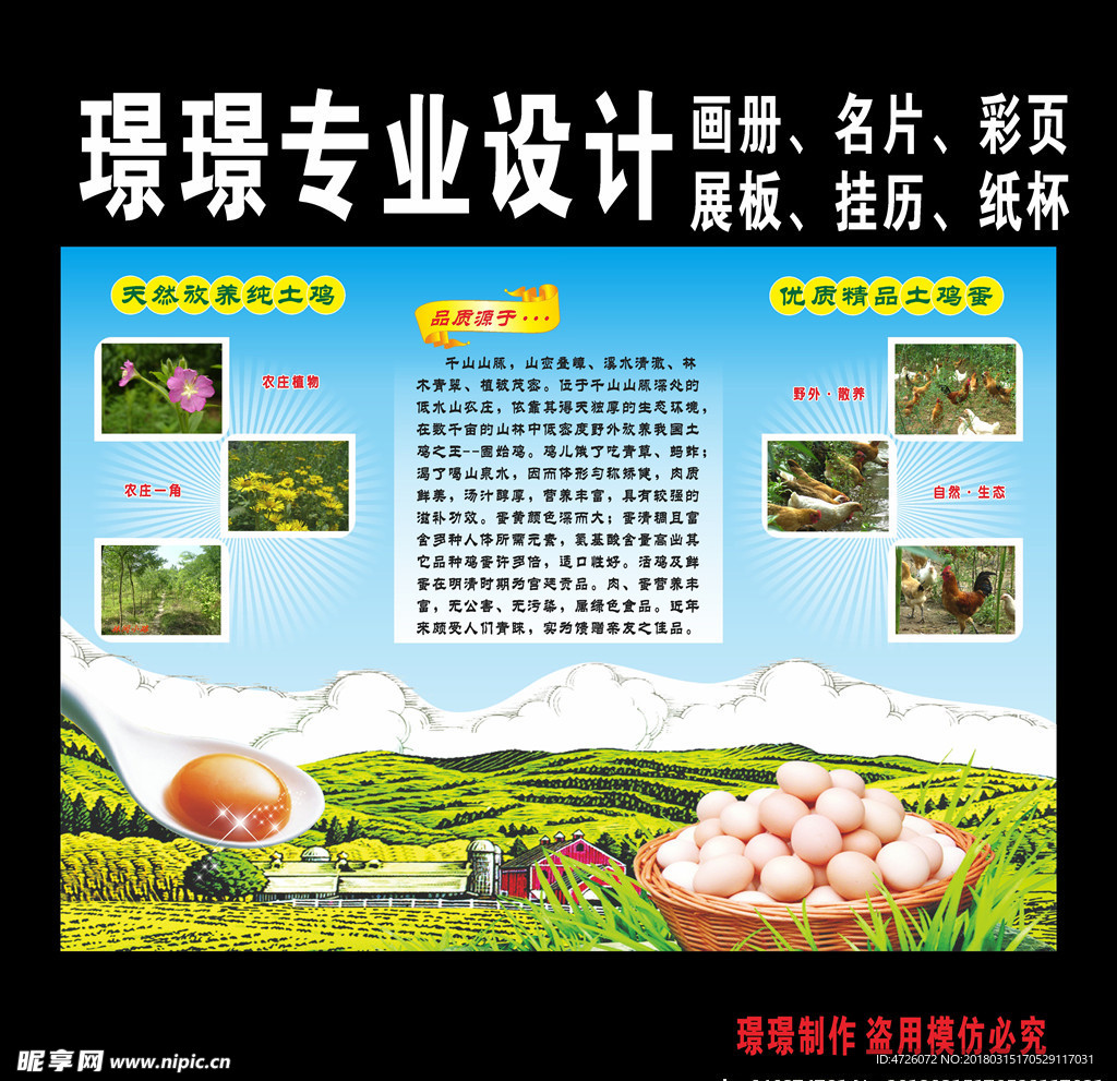 天然放养纯土鸡