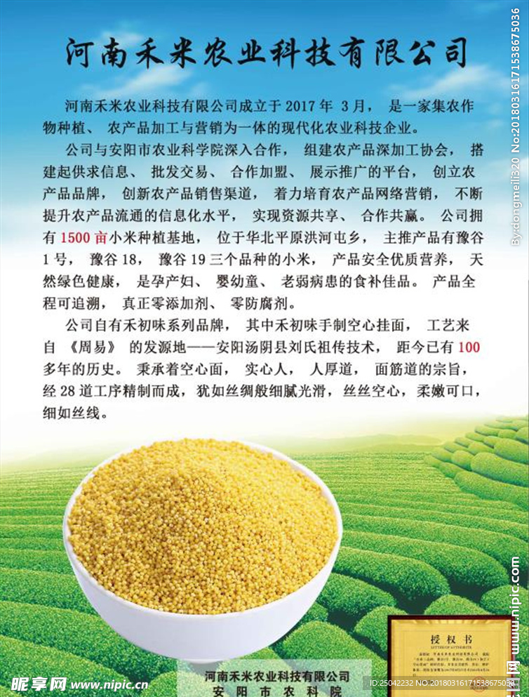 农业宣传页 公司宣传单