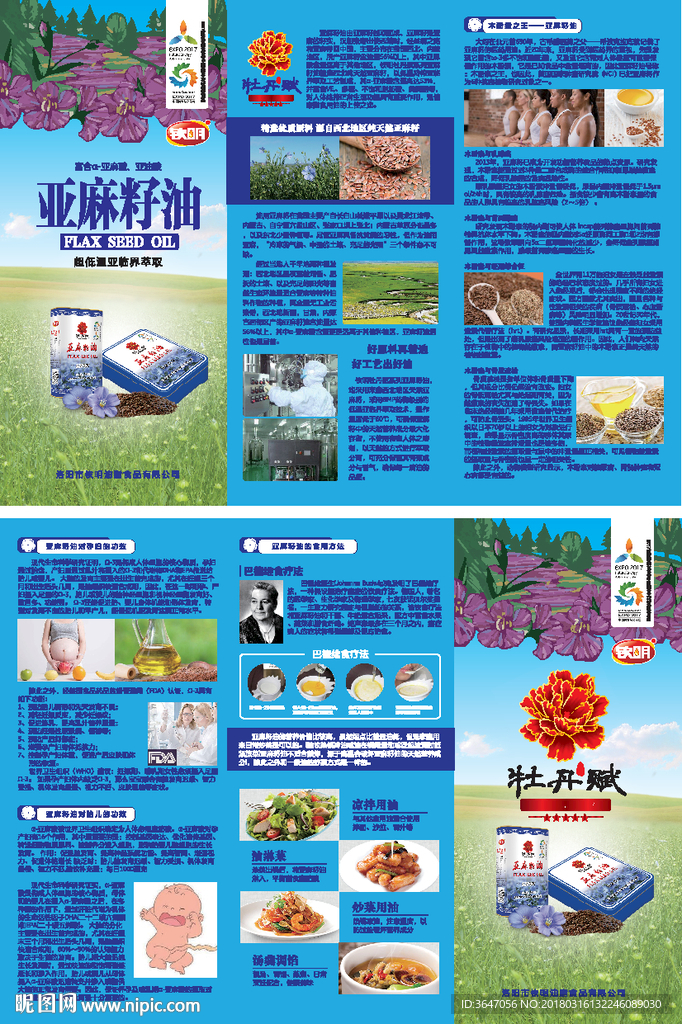 亚麻籽油产品画册