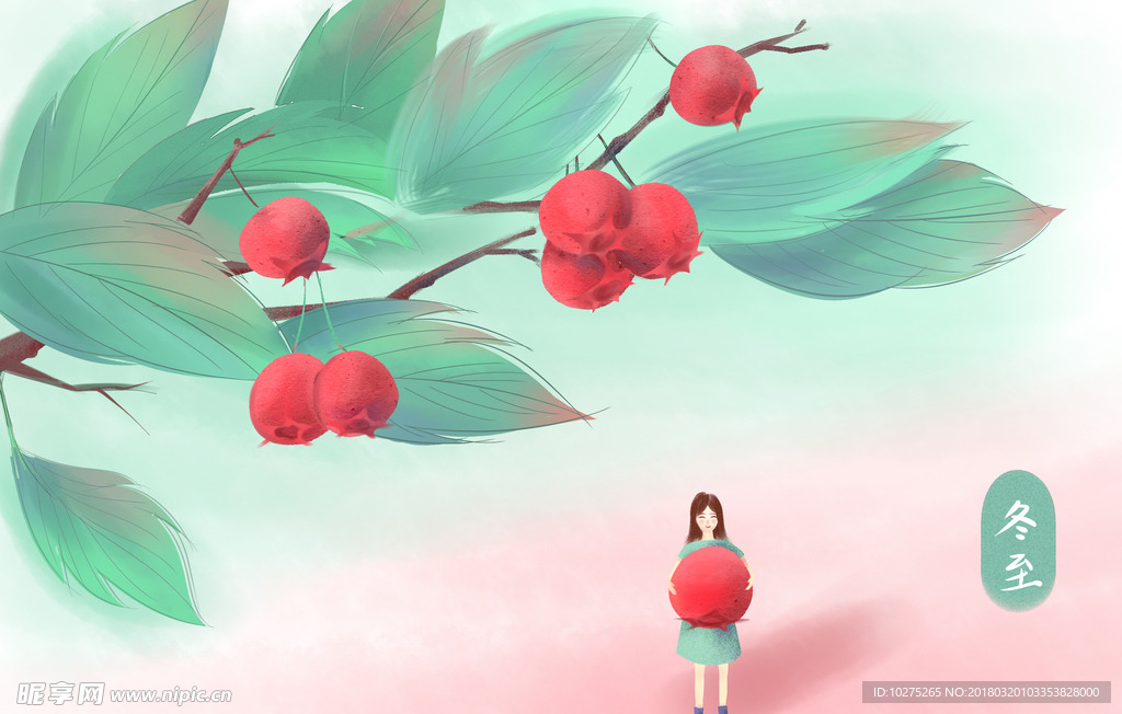 冬至山楂插画