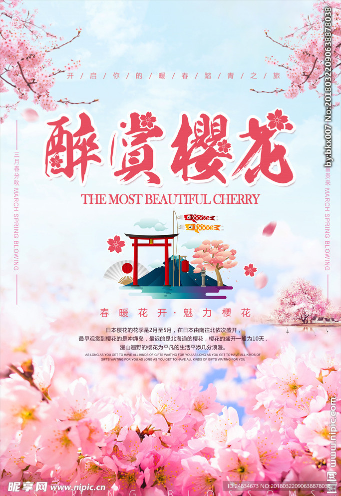 最美樱花节