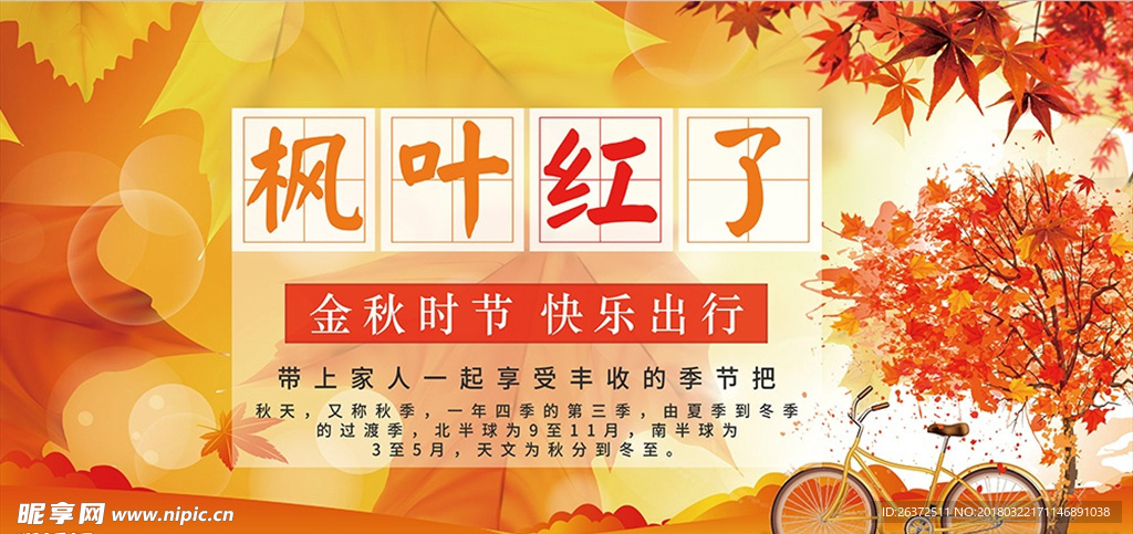 枫叶红了展板秋天展板