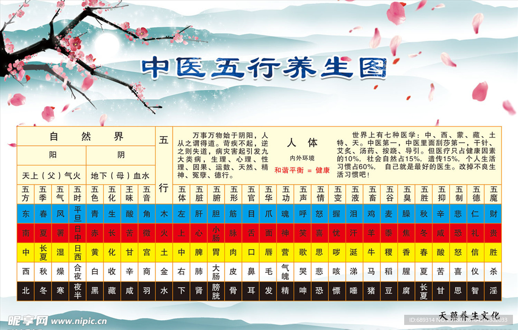 中医五行养生图