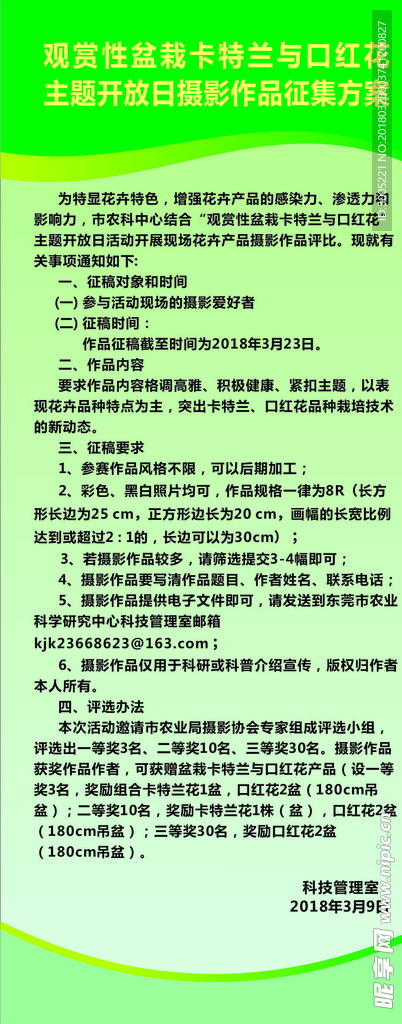 X展板  展览 展板 绿色背景