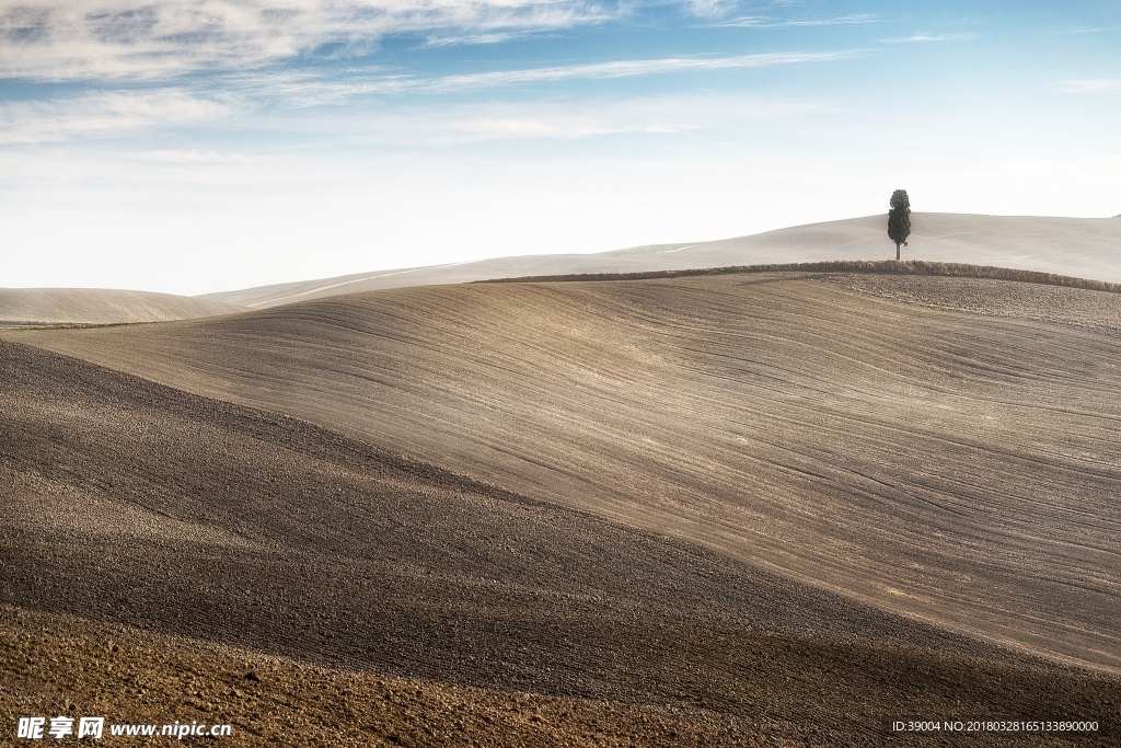 自然风景     黄土地