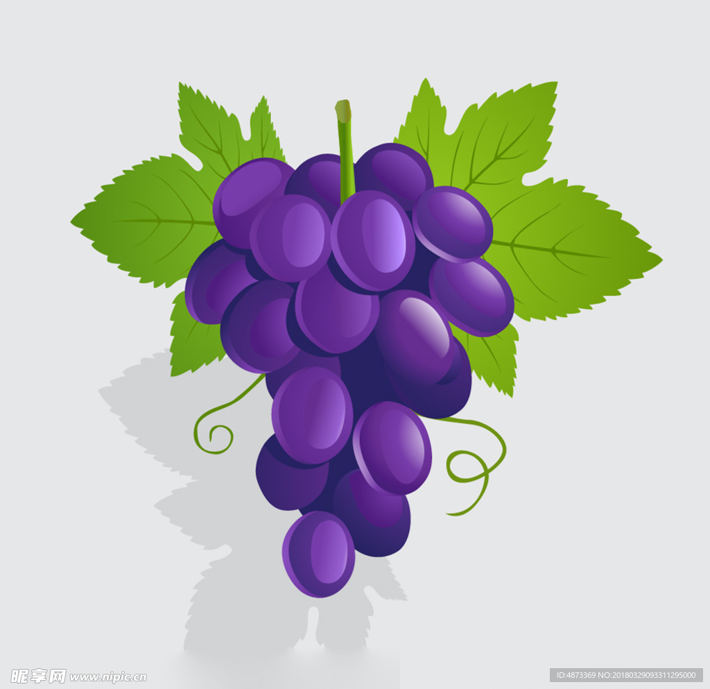 矢量葡萄