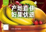 进口水果海报