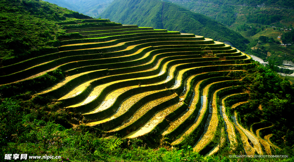 云南梯田摄影风景