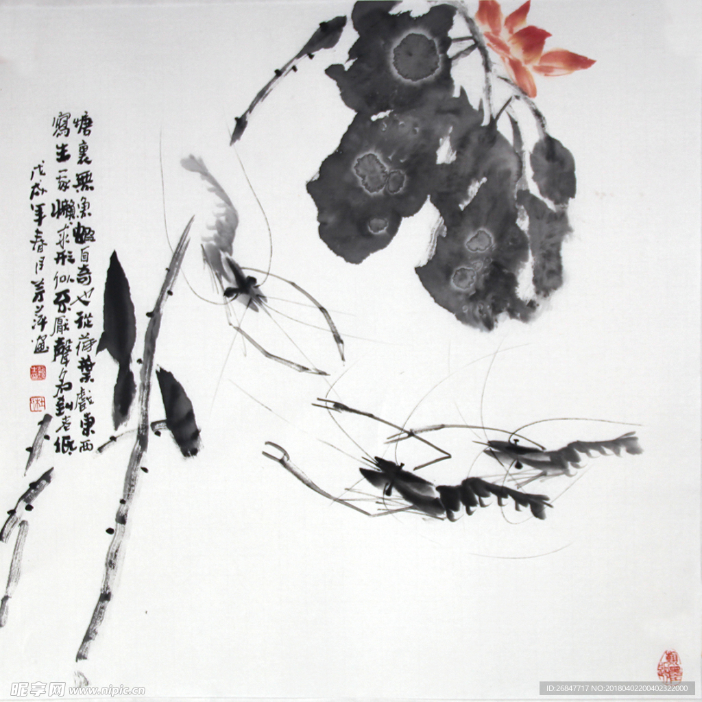 画家杜芳萍水墨虾传统水墨国画