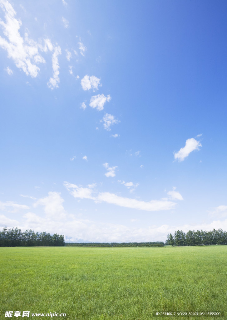 蓝天白云草地