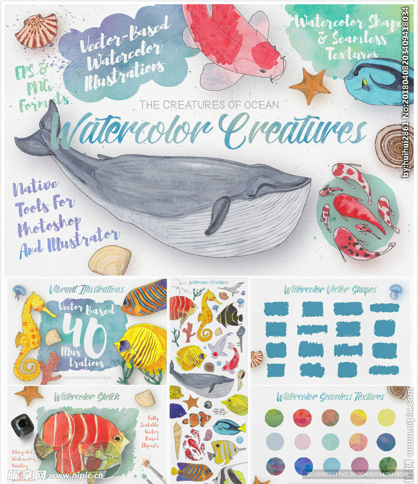 手绘海洋生物水彩画