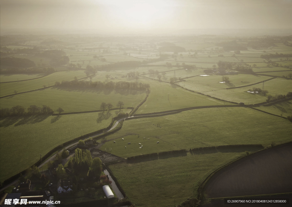 摄影作品 鸟瞰 草地 阳光