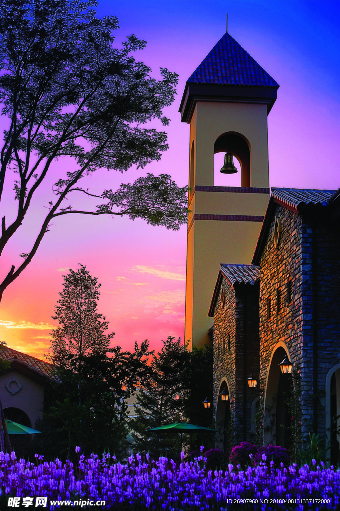 紫色 建筑 熏衣草 天空