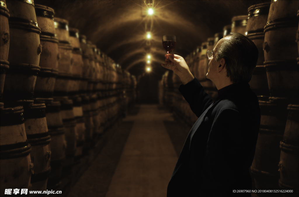 摄影作品酒桶 贮藏 地窑 品酒