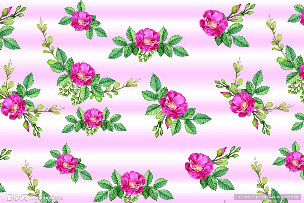 小花 玫瑰 母亲节花