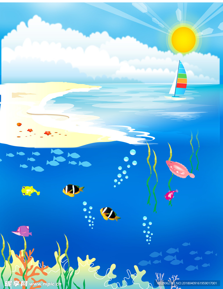 沙滩海边海底世界图片