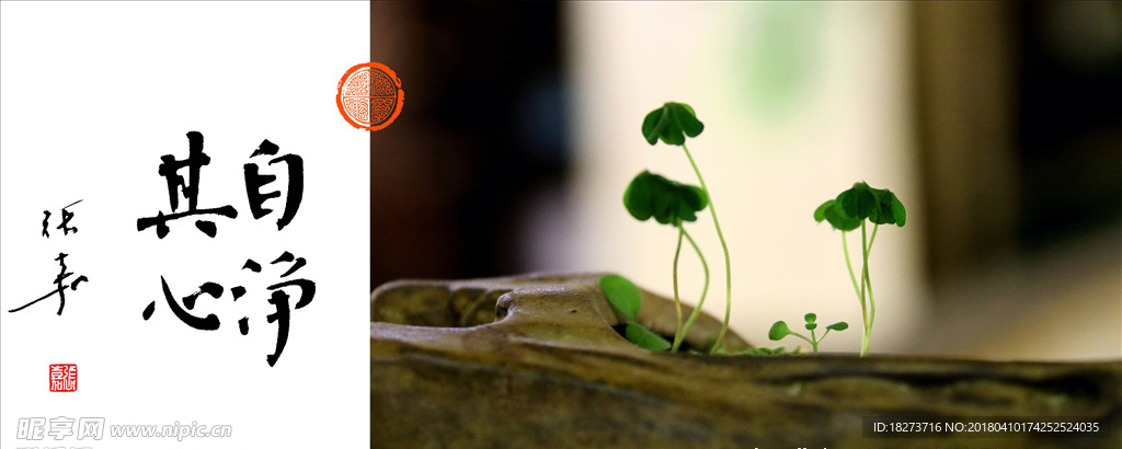 张嘉书法 自净其心-配图高清