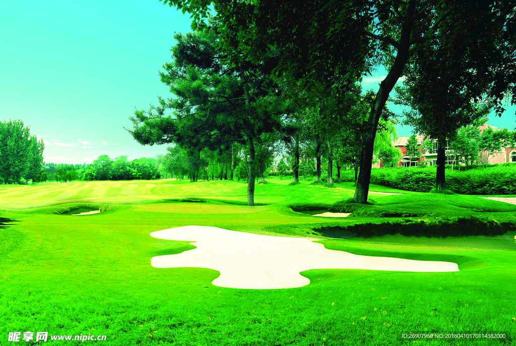 摄影作品高尔夫 球场 湖边