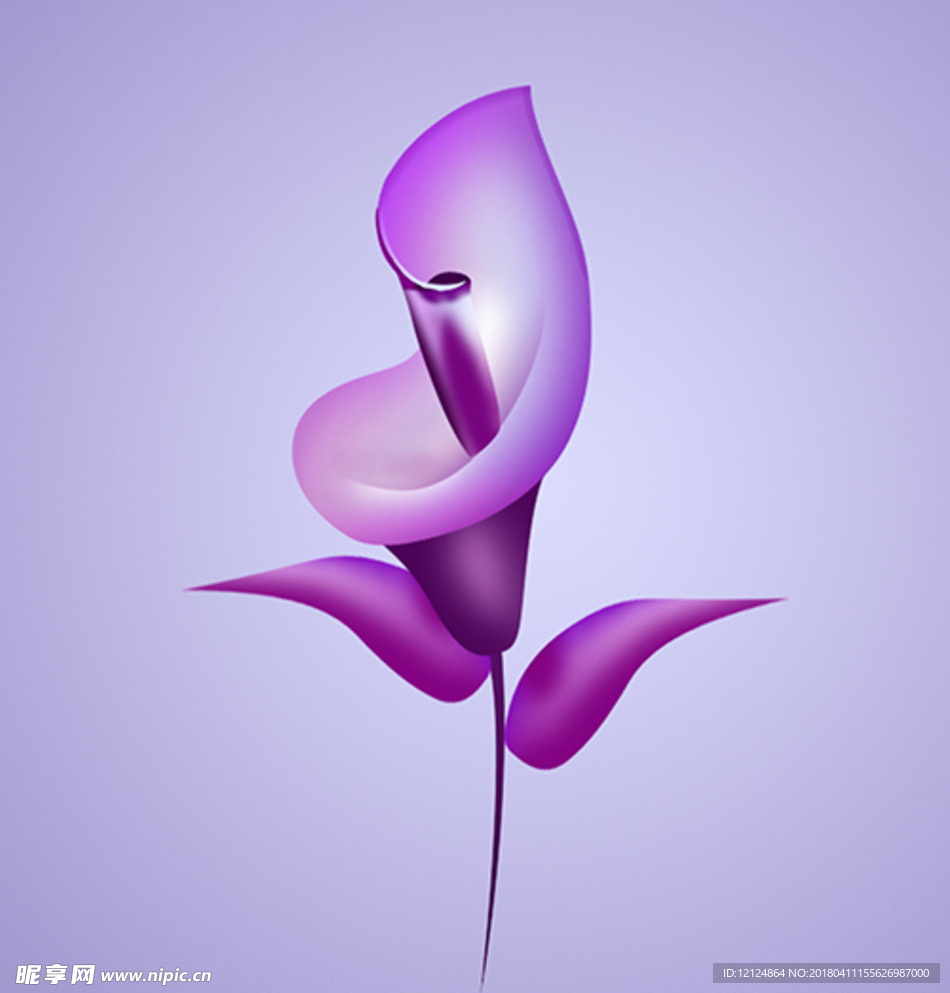 电脑鼠绘马蹄莲