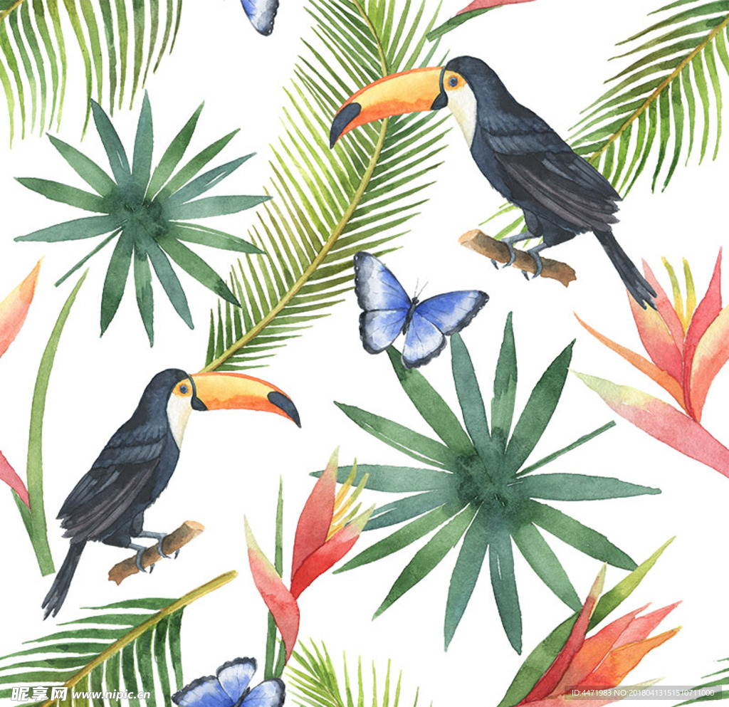 热带植物叶子大嘴鸟背景无缝