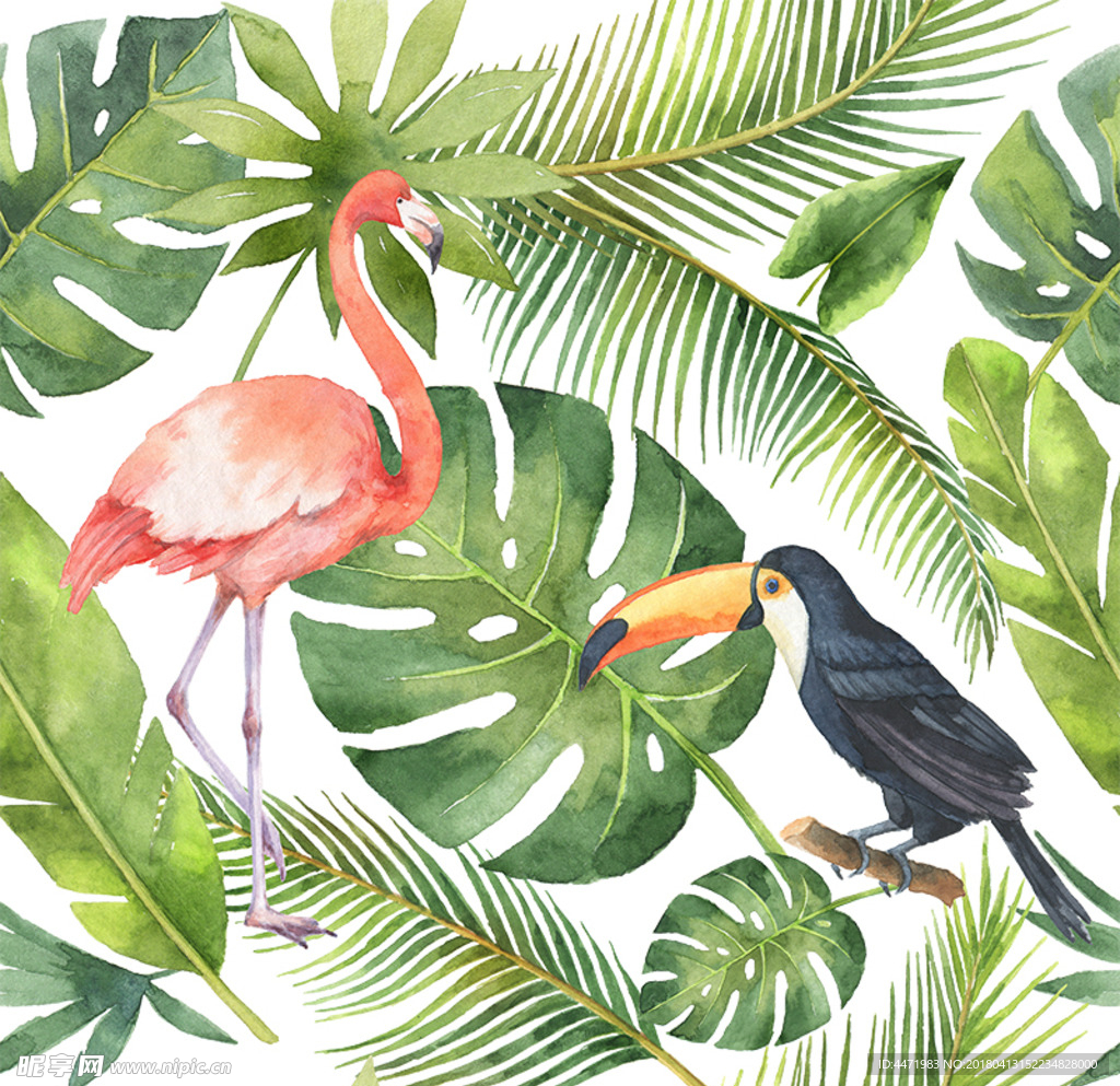 热带植物叶子大嘴鸟火烈鸟背景