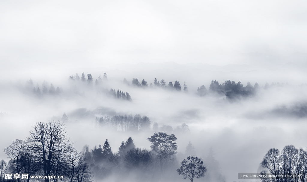 云雾森林风景意境风景背景墙壁画