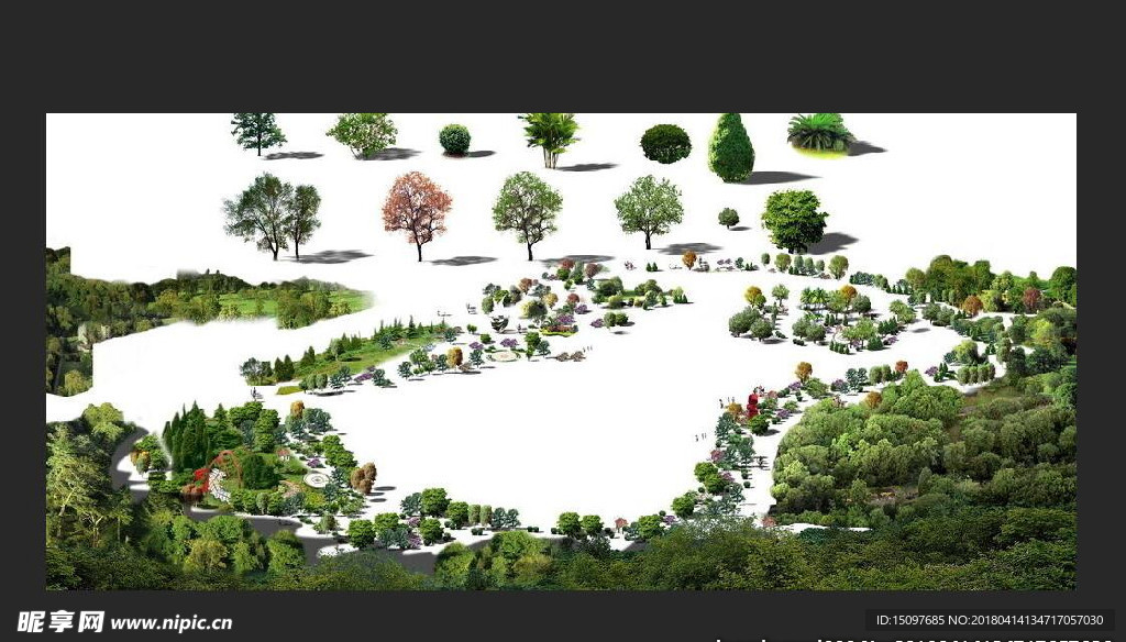 园艺植物 盘景植物 分层园艺植