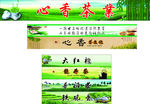 茶业广告  茶叶广告背景图
