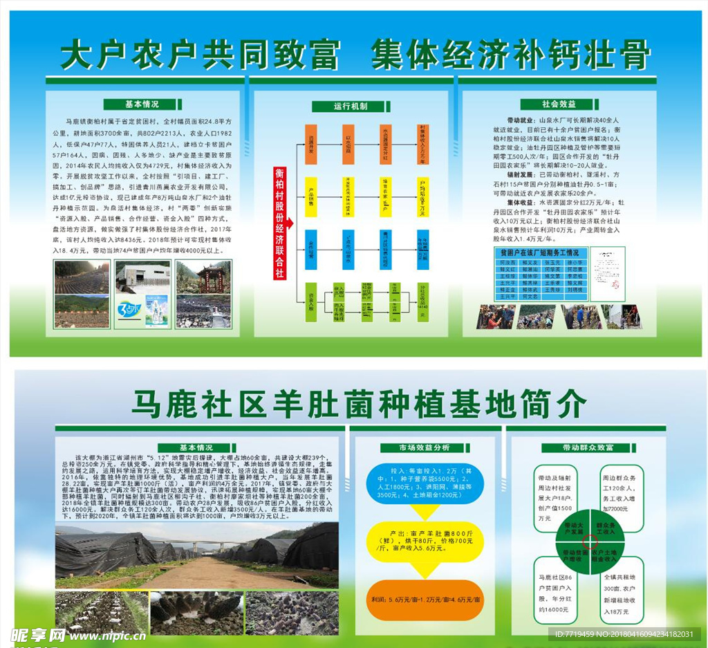 羊肚菌基地简介