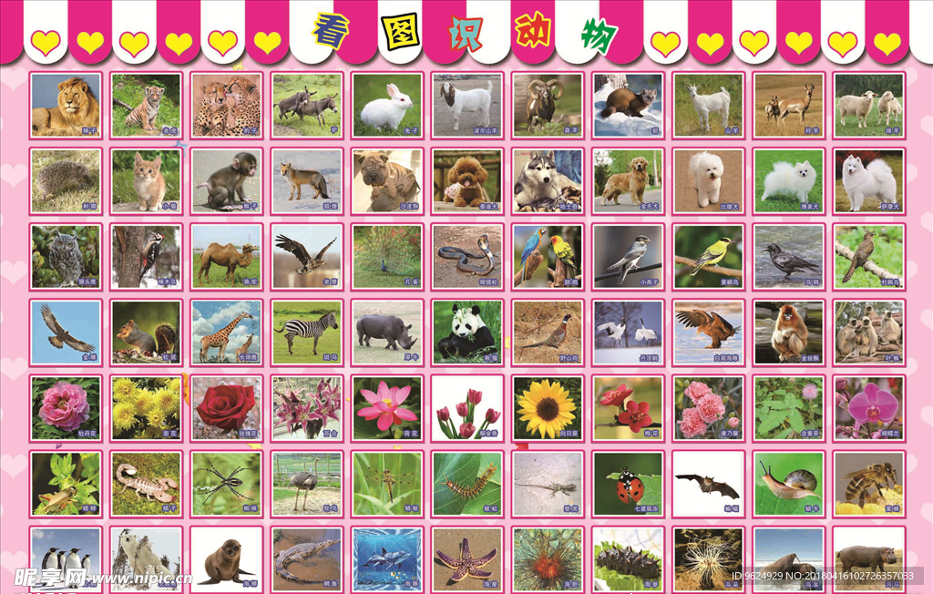 幼儿智力启蒙识字挂图 儿童挂画