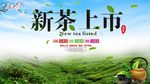 简洁新茶上市促销海报展板