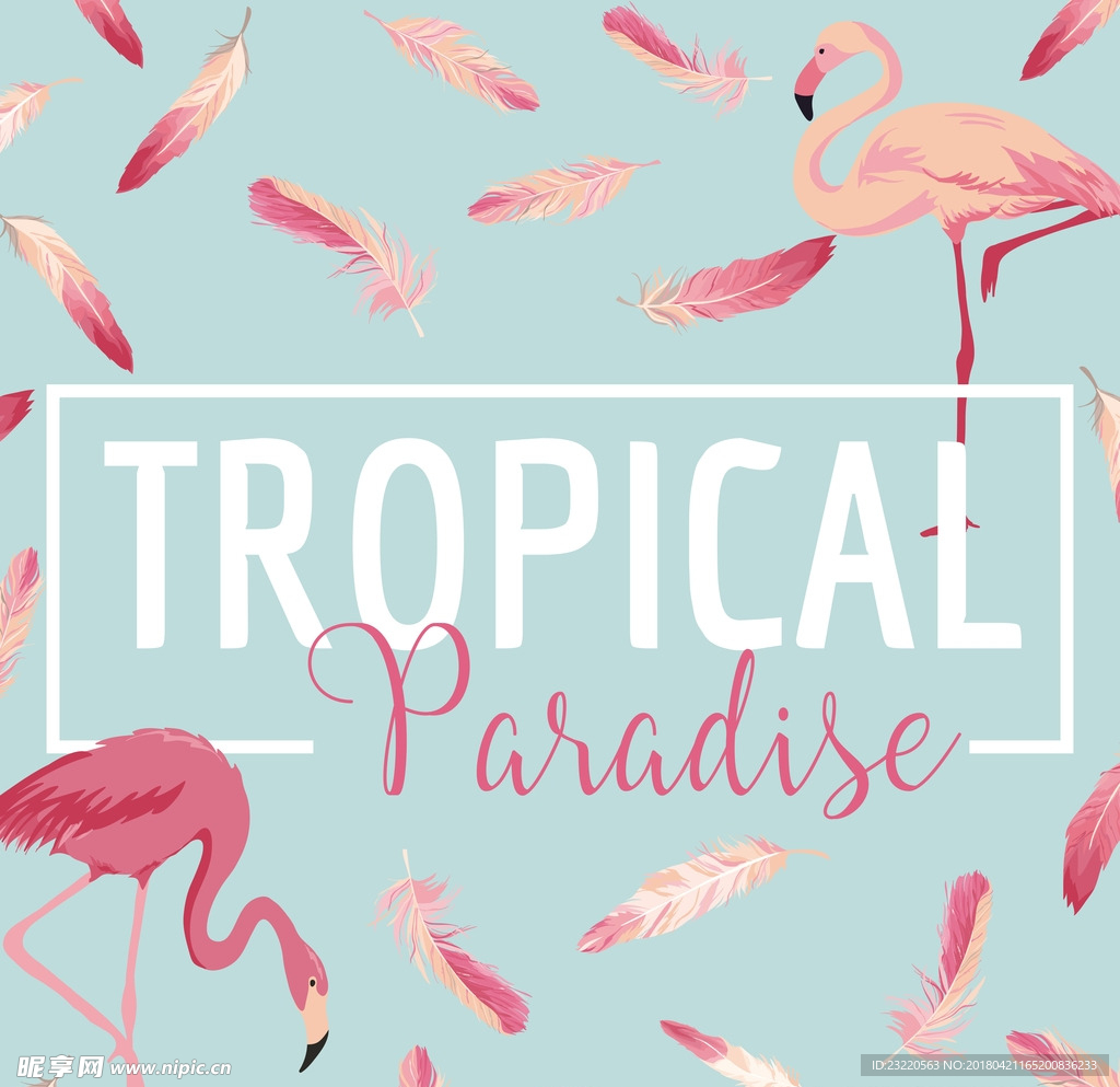 矢量图 eps 局部图案 写实