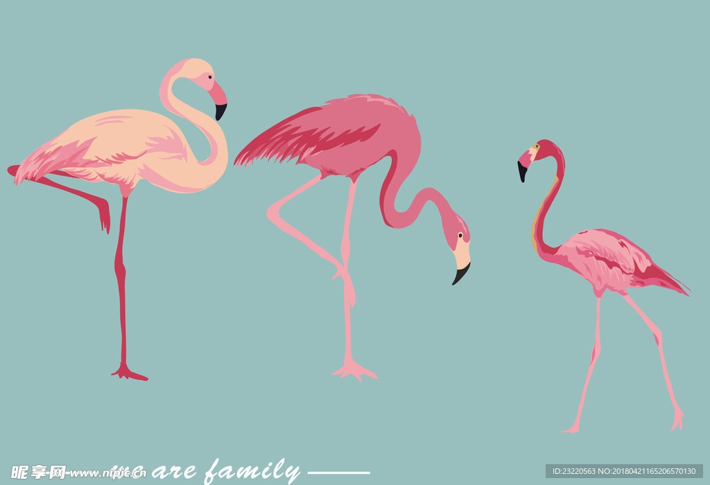 矢量图 eps 局部图案 写实