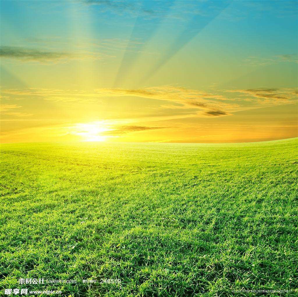 日出 草地