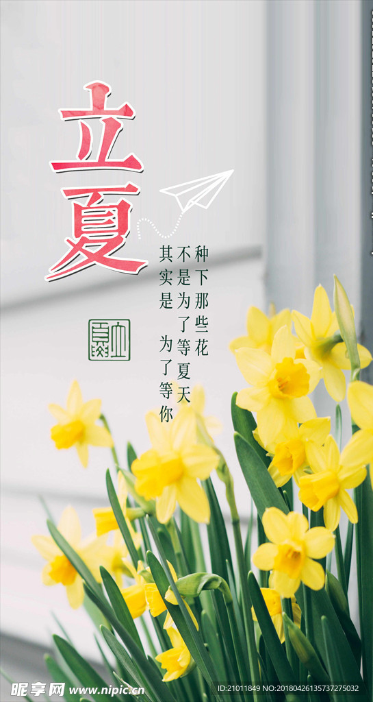 立夏插画 夏天 夏天插画 立夏