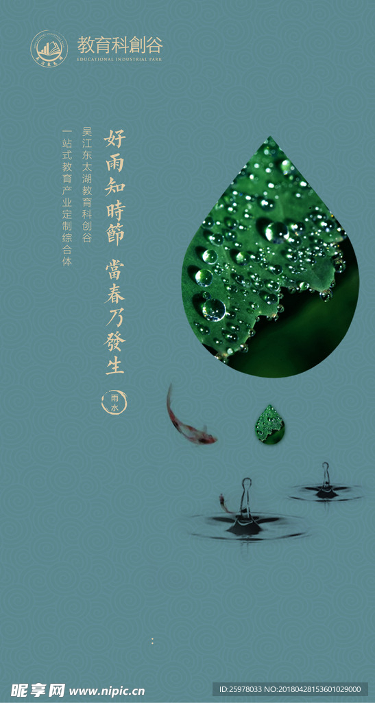 雨水节气